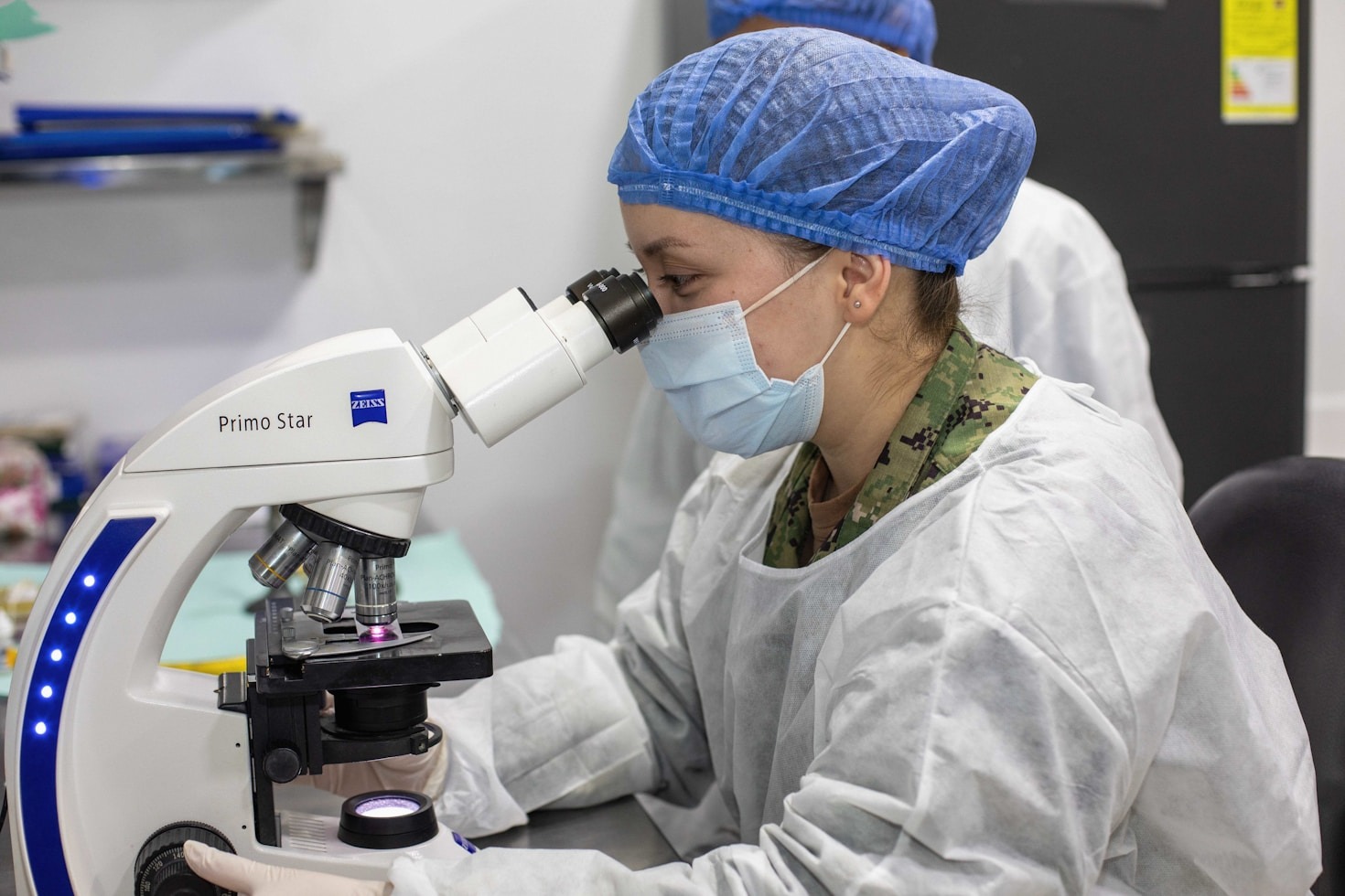 The Role of Genomics in Modern Agriculture